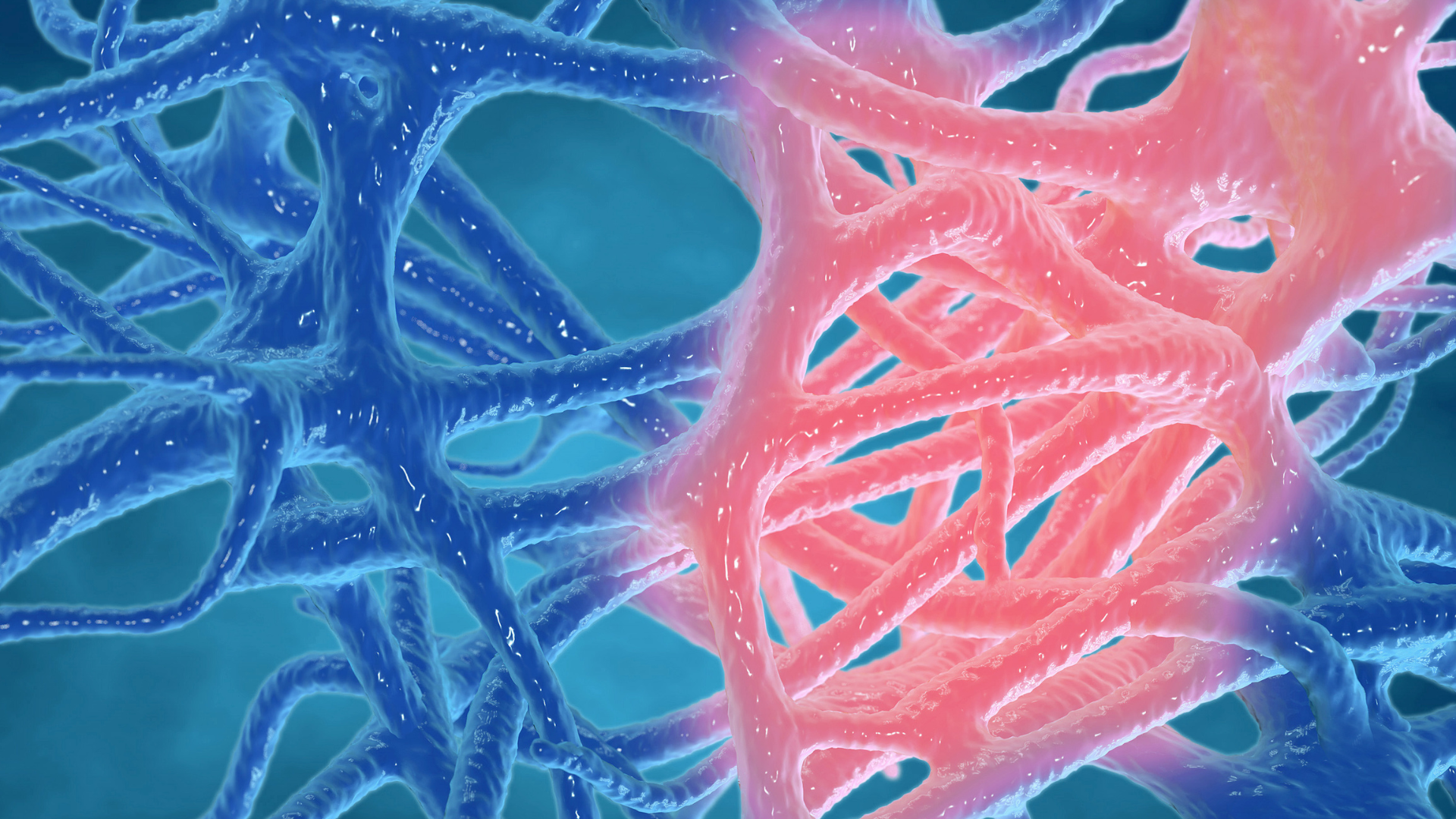 image of inflammation that can increase the chances of chronic disease such as breast cancer. Inflammation concept, inflammated human tissues 3d rendering.