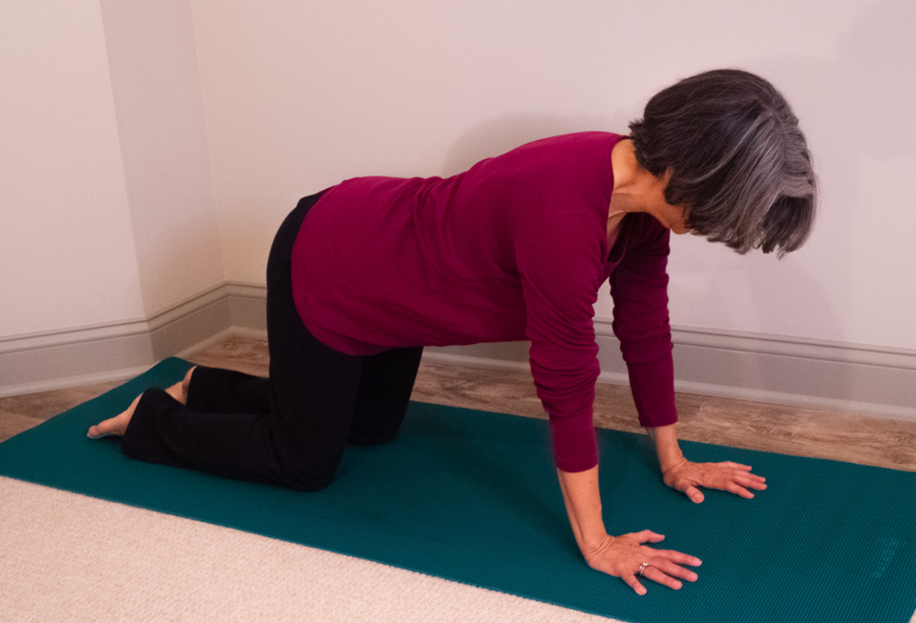 How to practice Cakravakasana to improve overall health. Cakravakasana Pose depicted here is great for spinal health and connecting breath to movement.