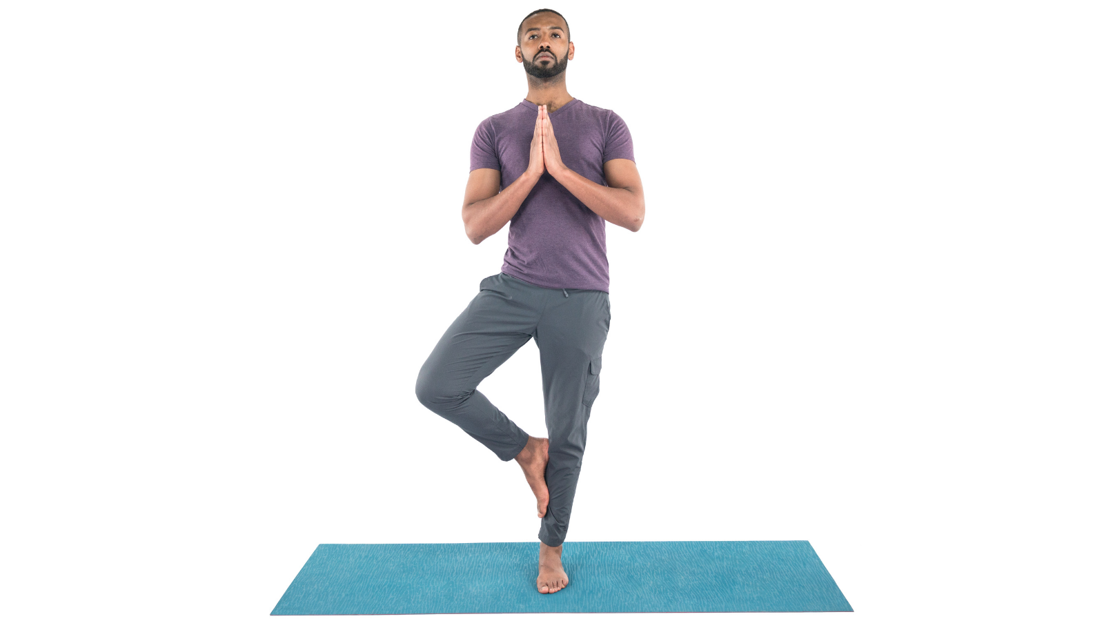 How to practice Tree Pose for strengthening and balance and also comfort and ease Tree Pose or Vrksasana with ankle to shin for healthy hip joints