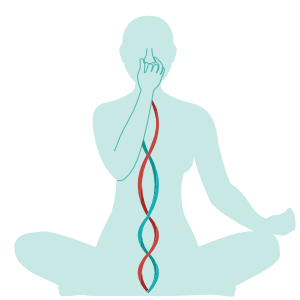 Image depicts Nostril breathing Image depicts Nostril breathing